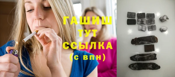 apvp Алзамай
