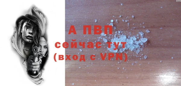 apvp Алзамай